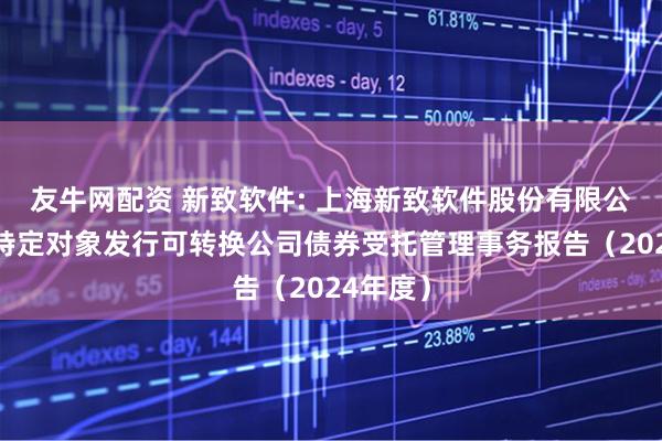 友牛网配资 新致软件: 上海新致软件股份有限公司向不特定对象发行可转换公司债券受托管理事务报告（2024年度）