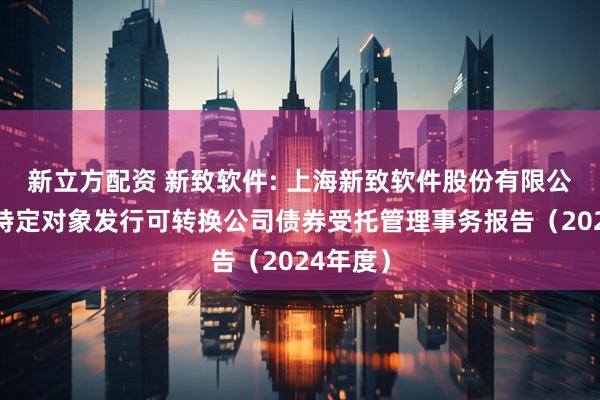 新立方配资 新致软件: 上海新致软件股份有限公司向不特定对象发行可转换公司债券受托管理事务报告（2024年度）