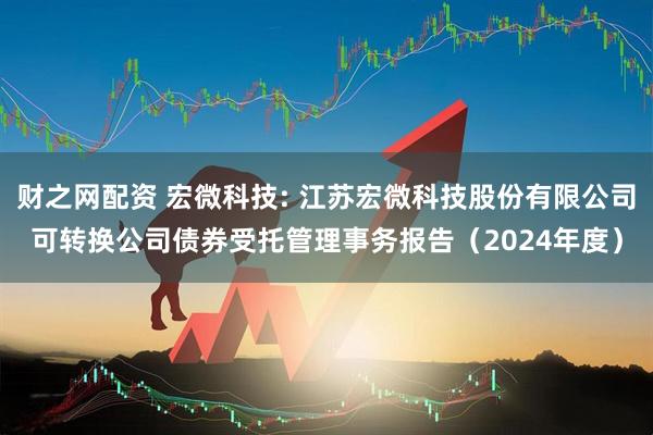 财之网配资 宏微科技: 江苏宏微科技股份有限公司可转换公司债券受托管理事务报告（2024年度）