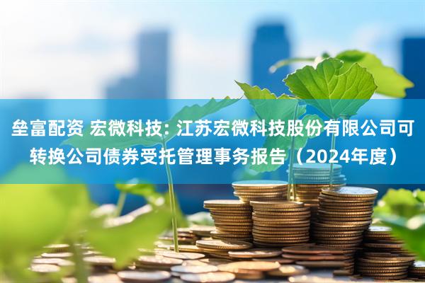 垒富配资 宏微科技: 江苏宏微科技股份有限公司可转换公司债券受托管理事务报告（2024年度）